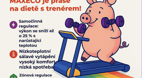 🔌 „Žere to jako prase?“